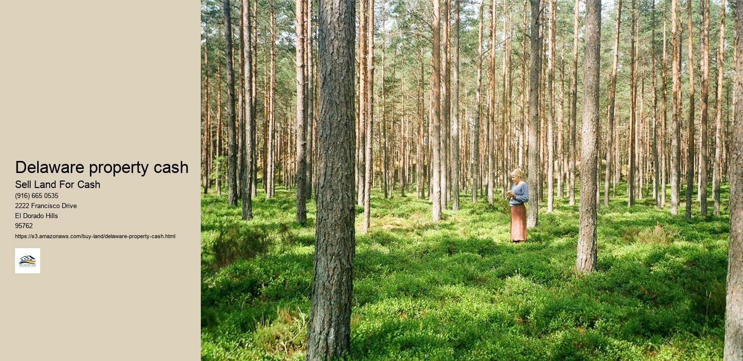 Delaware property cash