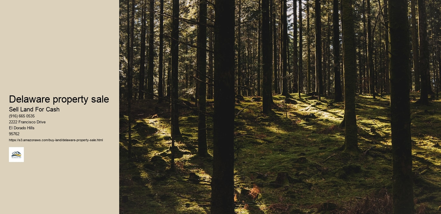 Delaware property sale