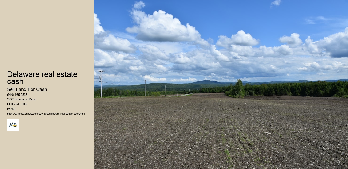 Delaware real estate cash