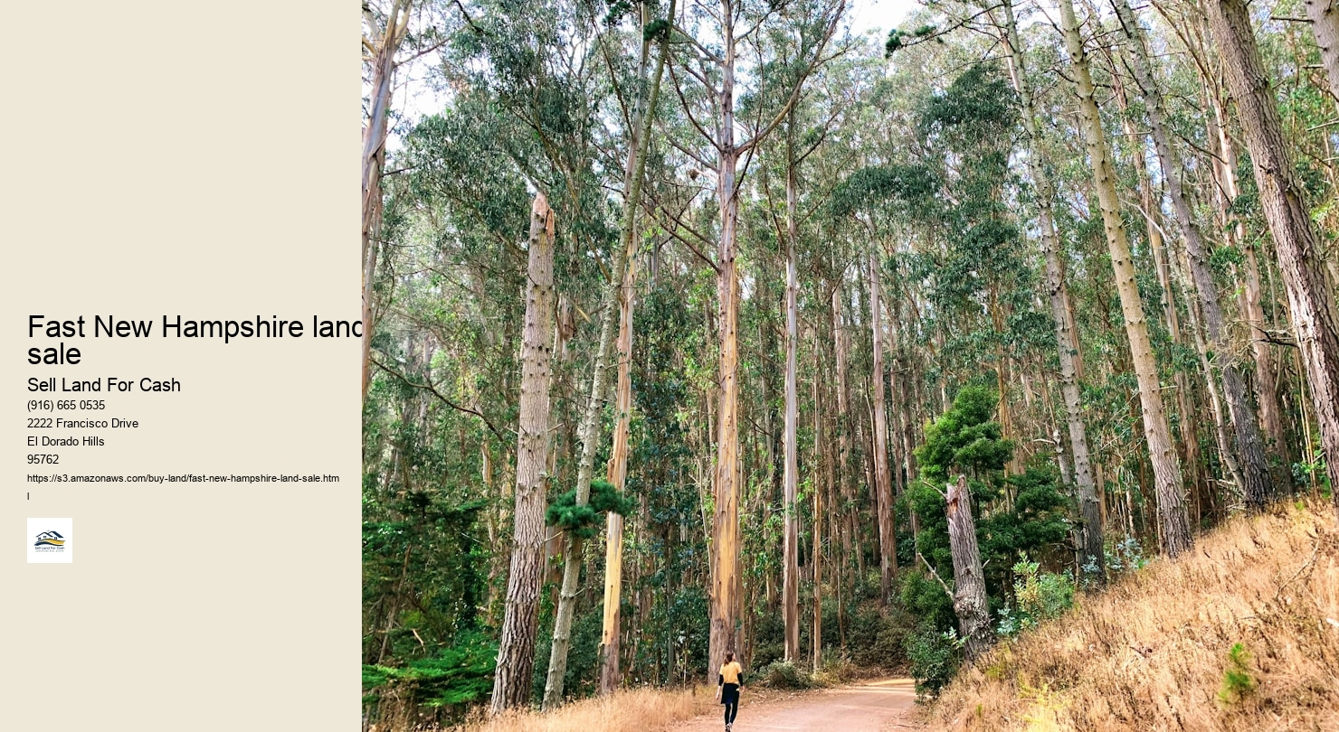 Fast New Hampshire land sale