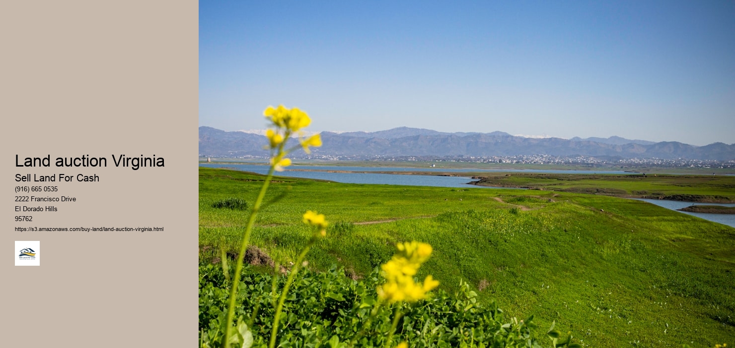 Land auction Virginia