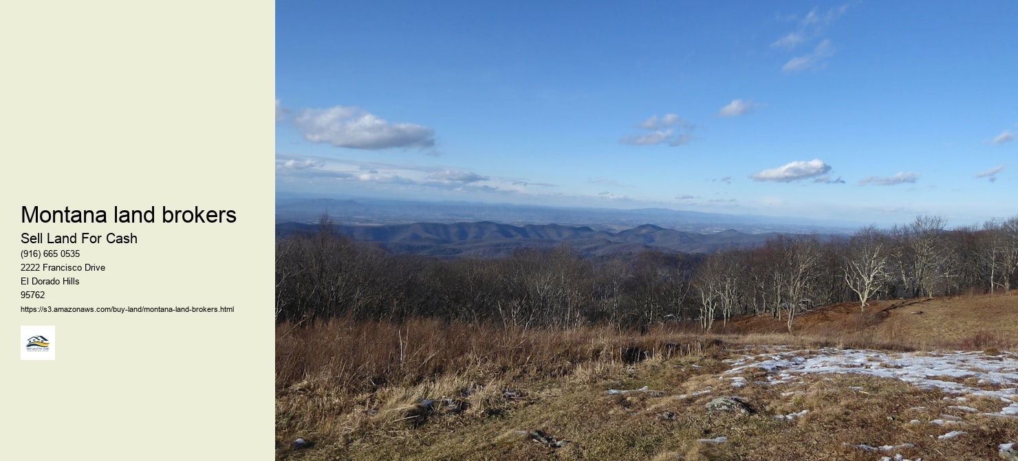 Montana land brokers