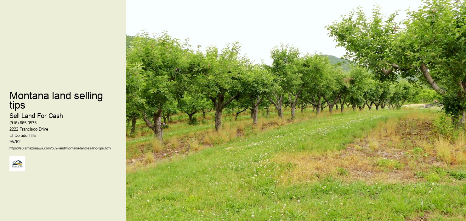 Montana land selling tips