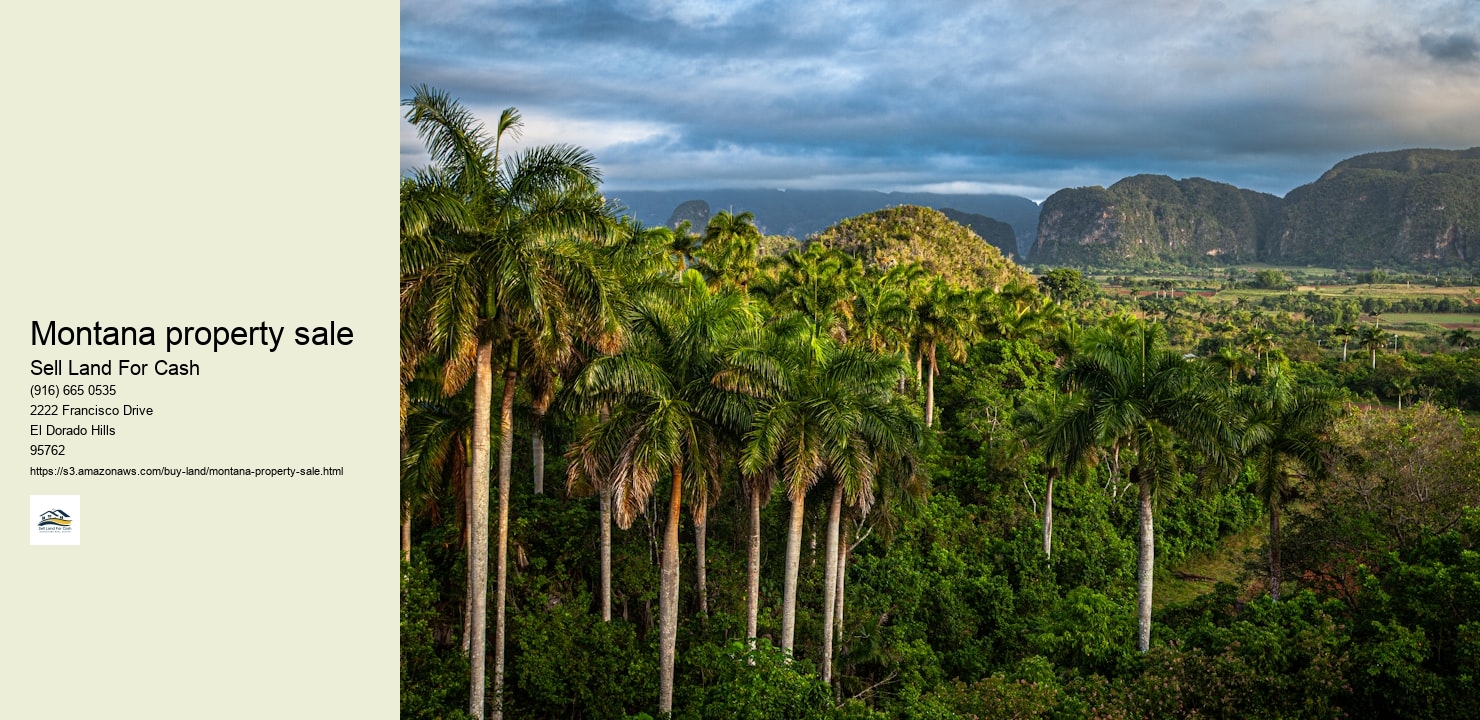 Montana property sale