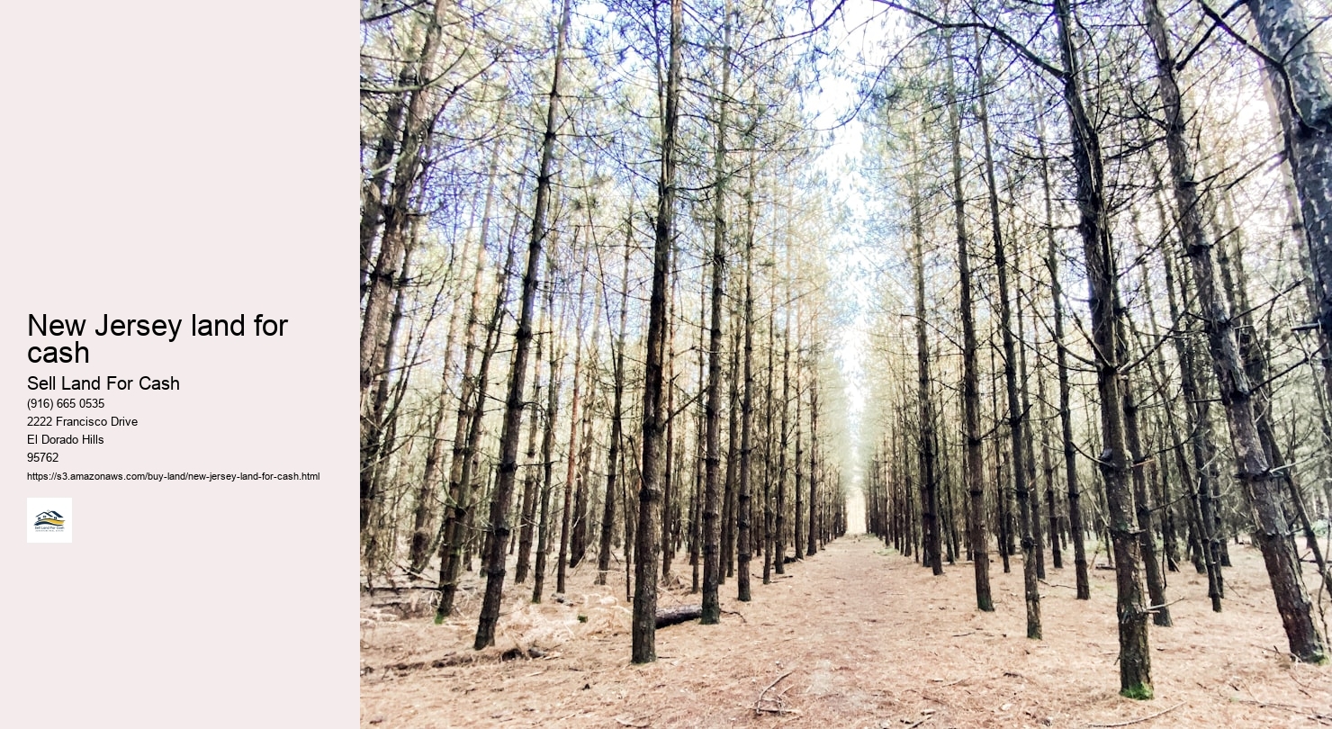 New Jersey land for cash