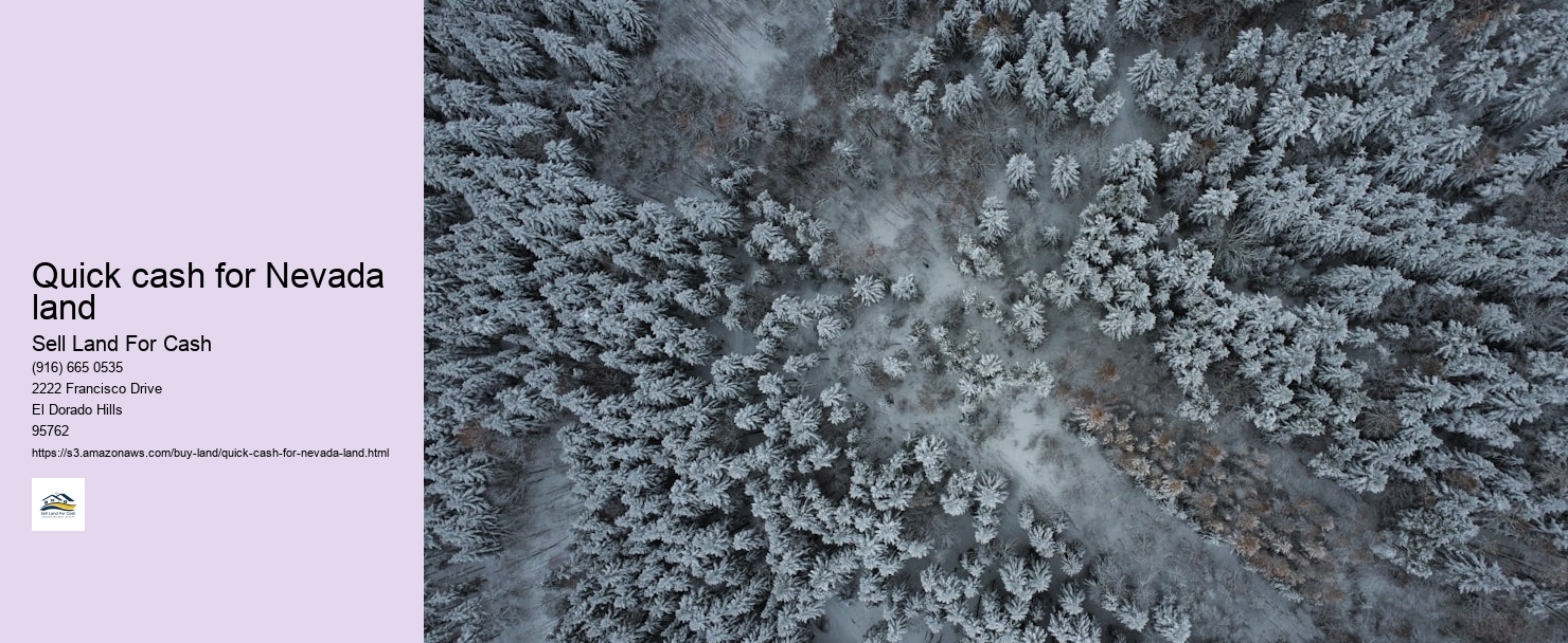 Quick cash for Nevada land