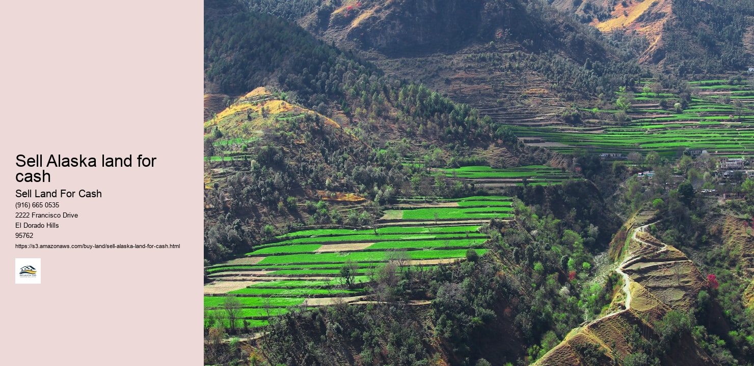 Sell Alaska land for cash