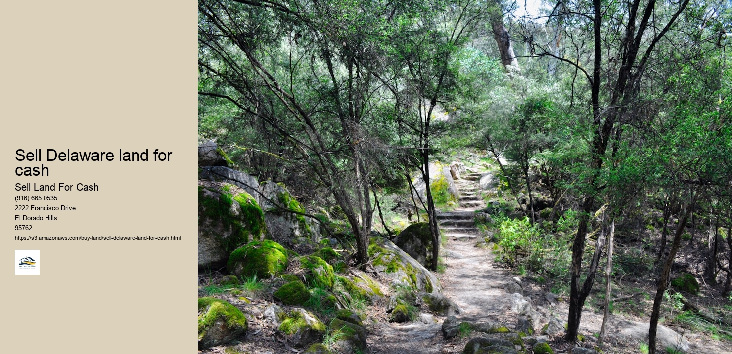 Sell Delaware land for cash