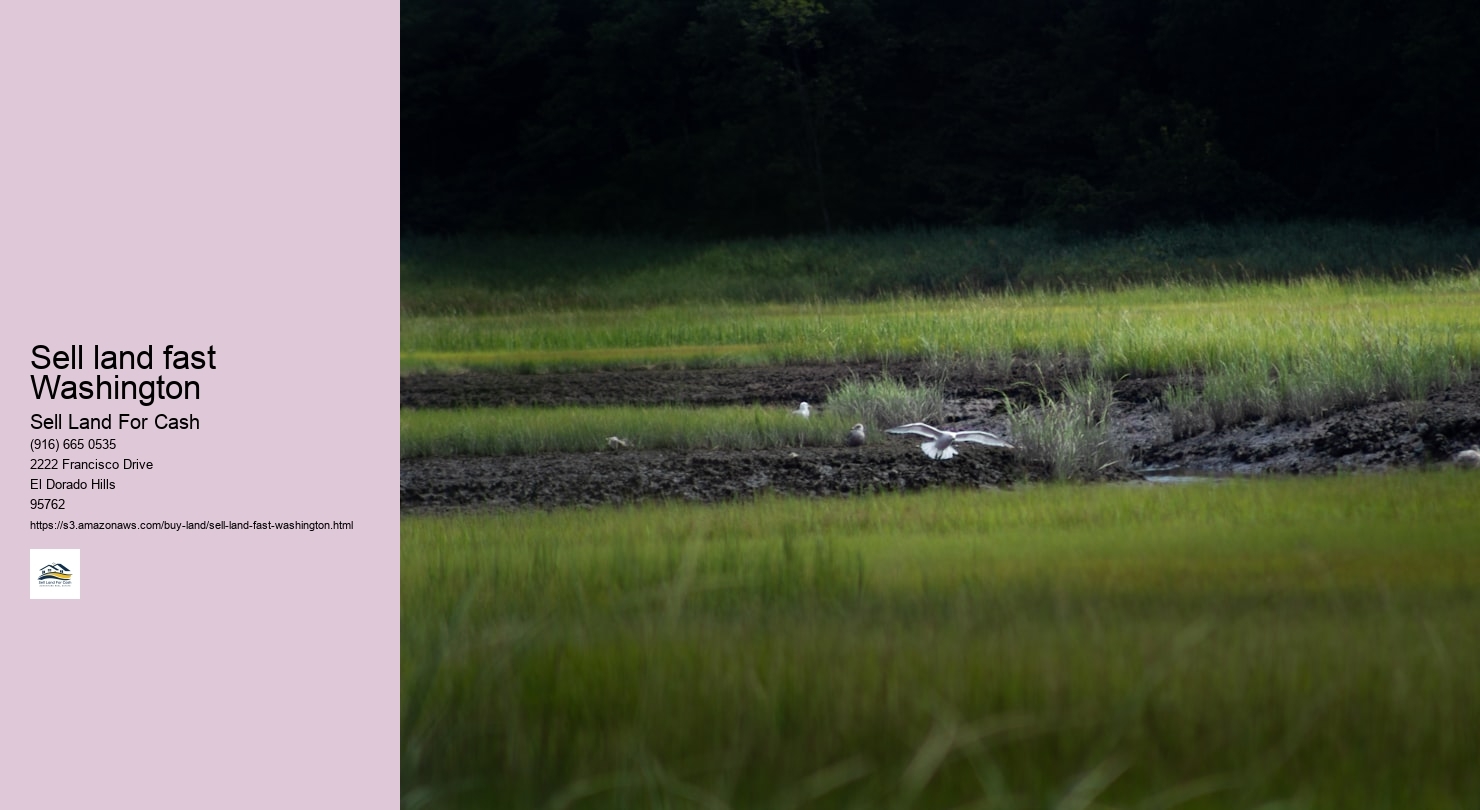 Sell land fast Washington