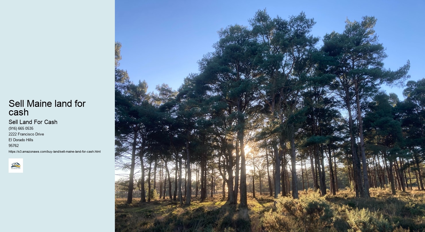 Sell Maine land for cash