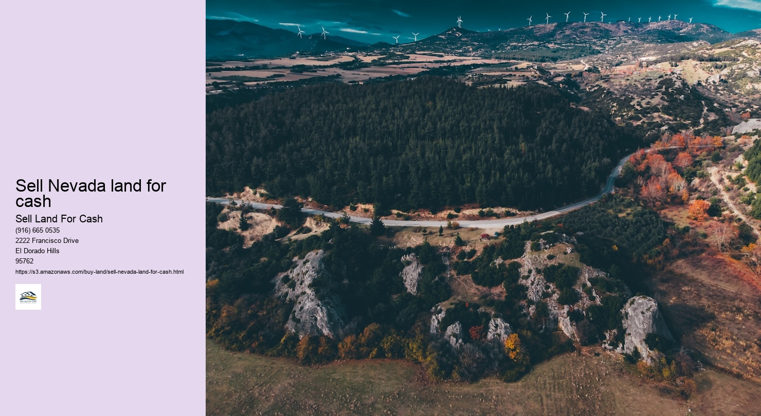 Sell Nevada land for cash