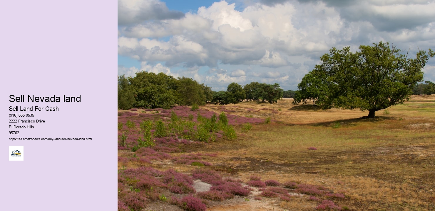 Sell Nevada land