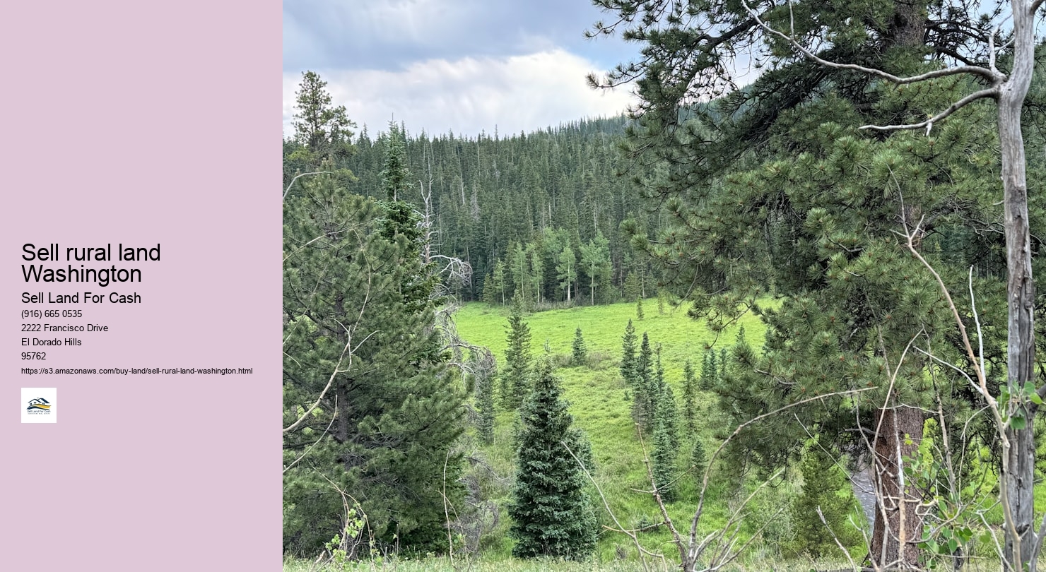 Sell rural land Washington