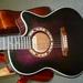 Ibanez Guitar