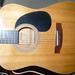Jasmine Guitar