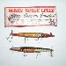 Devil's Horse Lures