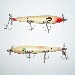 Devil's Horse Lures
