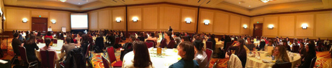 Header_napw_bos_chapter_group_website_pic