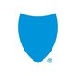 Avatar_bsc_shield_plain