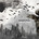Small_thumb_katatonia