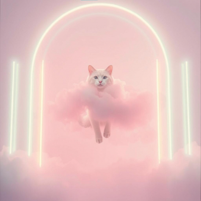 Pink Kitty Pearly Gates