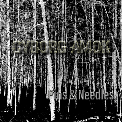 Cyborg Amok - Pins & Needles, album released April 13, 2025