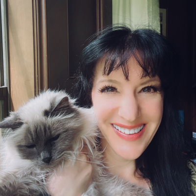 Olive, the beloved Birman.
