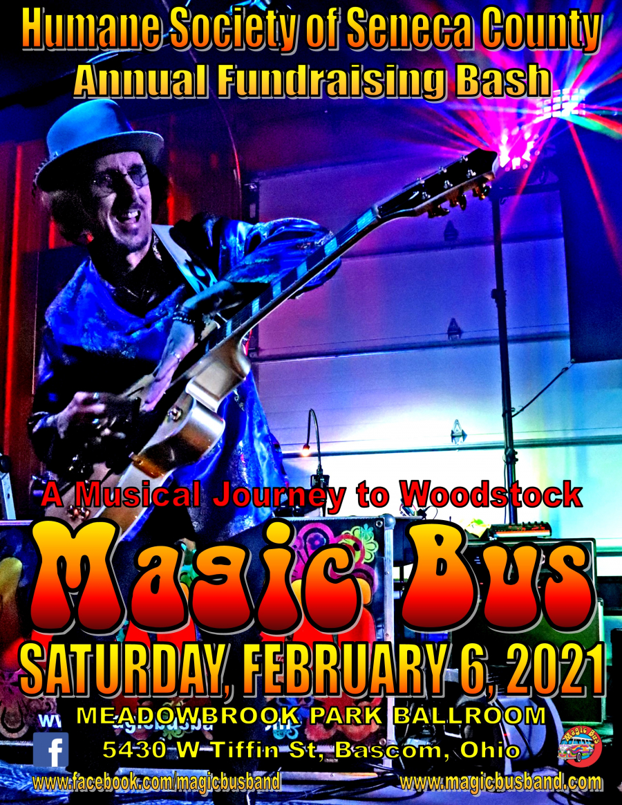 Magic Bus Magic Bus