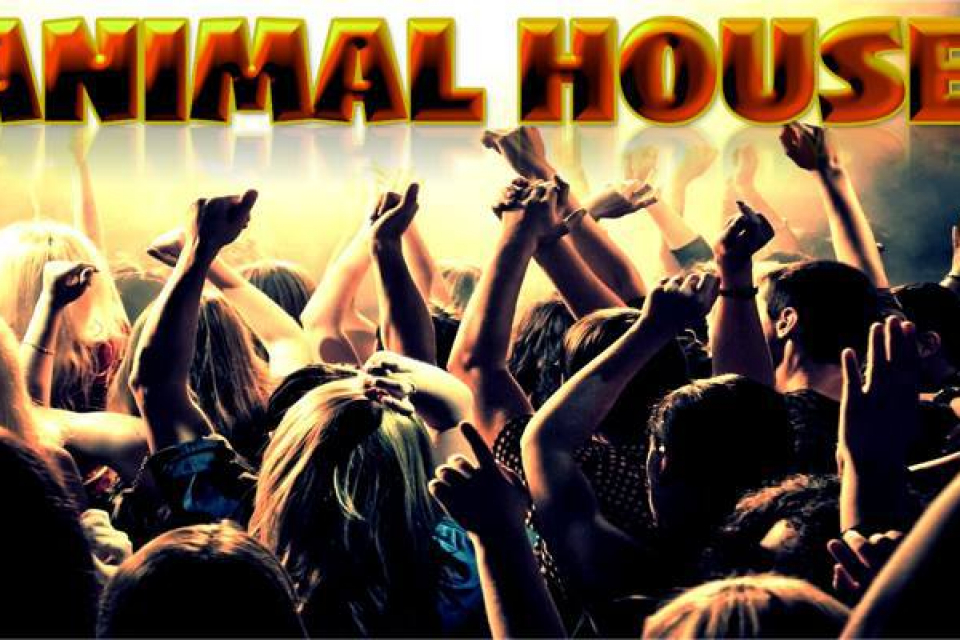 Animal House Band