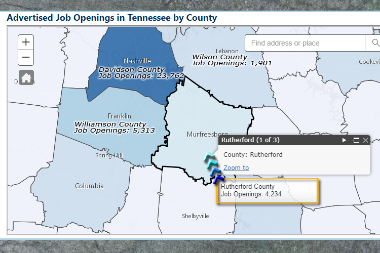 public records available rutherford county tn
