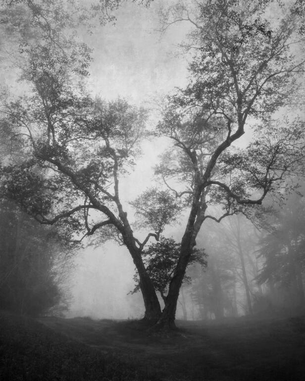 Photo: Joyce Tenneson: Spiritual Warrior photo no. 11