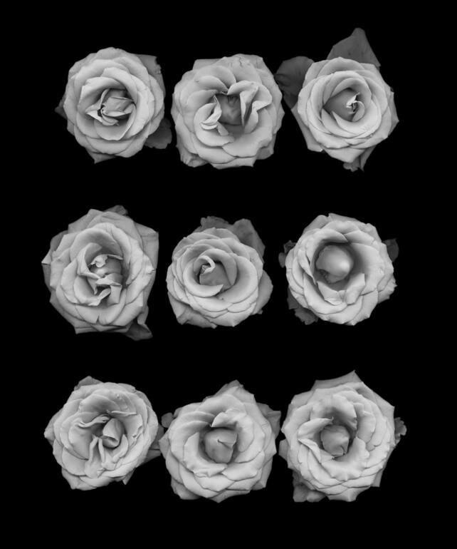 Photo: Joyce Tenneson: Spiritual Warrior photo no. 5