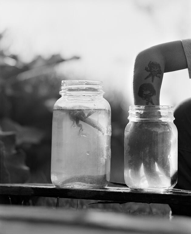 Photo: Jesse Lenz: About Locusts and Other Lives on the Land photo no. 2