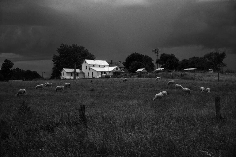 Photo: Jesse Lenz: About Locusts and Other Lives on the Land photo no. 3