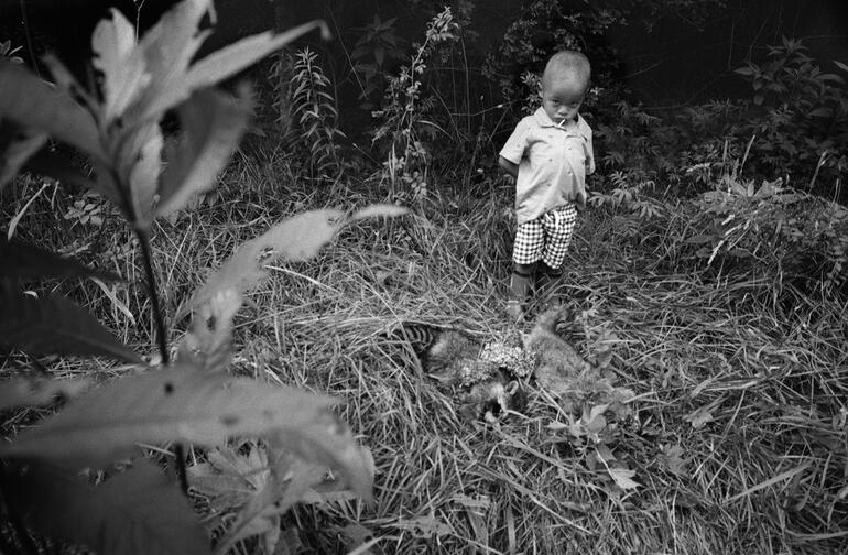 Photo: Jesse Lenz: About Locusts and Other Lives on the Land photo no. 4