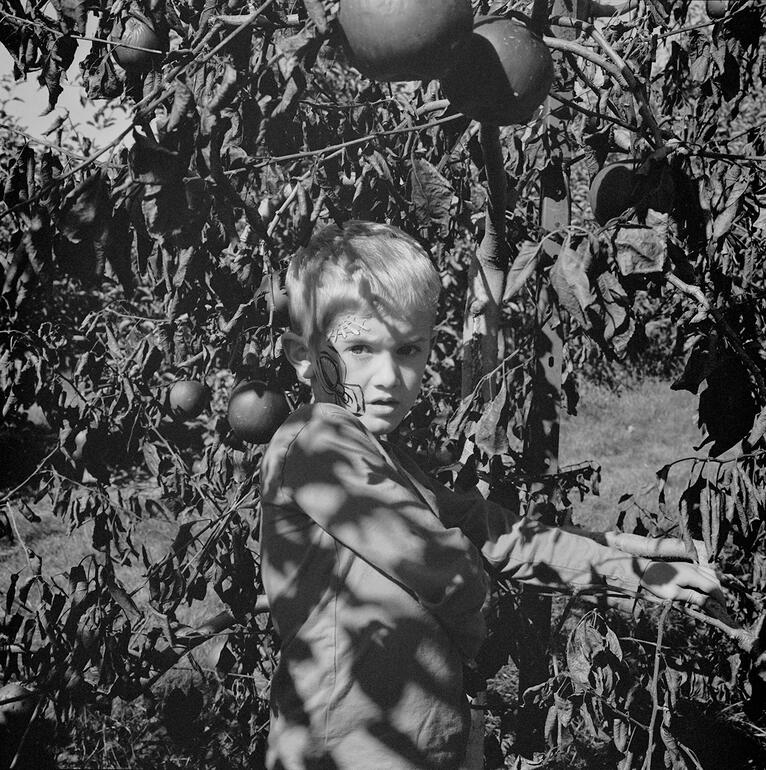 Photo: Jesse Lenz: About Locusts and Other Lives on the Land photo no. 5