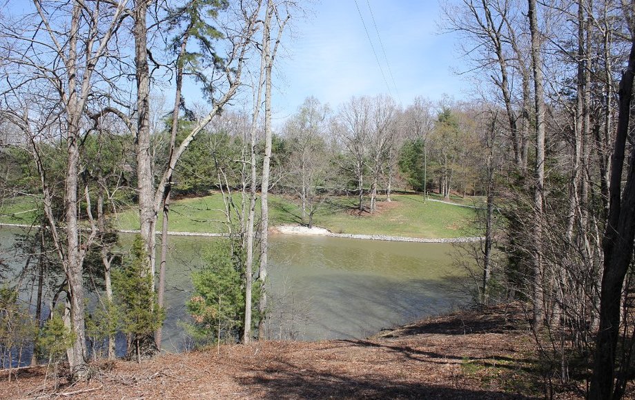 Image for WATERFRONT: 20 Acres on Smith Mountain Lake