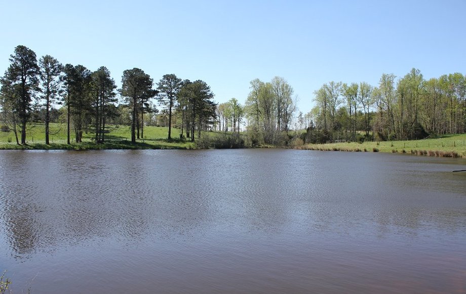 Image for 341 Acre Farm in 5 Tracts