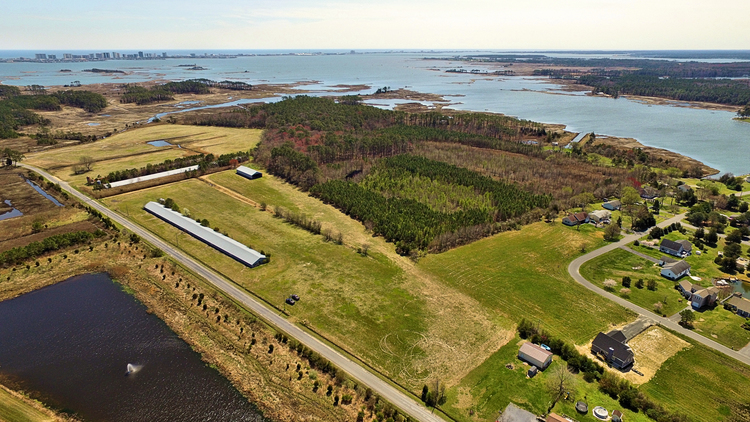 Image for Poultry FARM 55+ ACRES