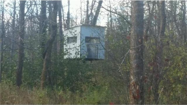 Hunting Land in Toivola Twp, MN