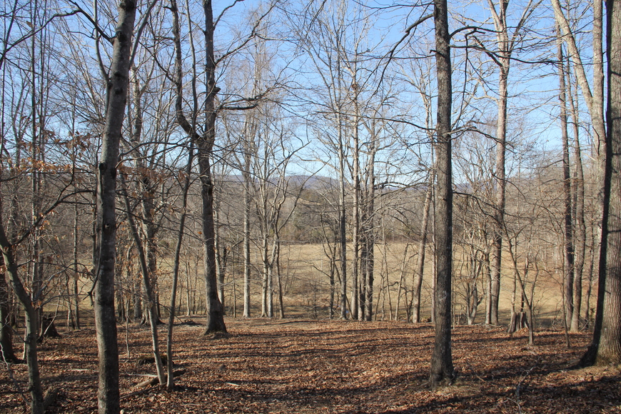 Image for 316 Acres near Charlottesville VA