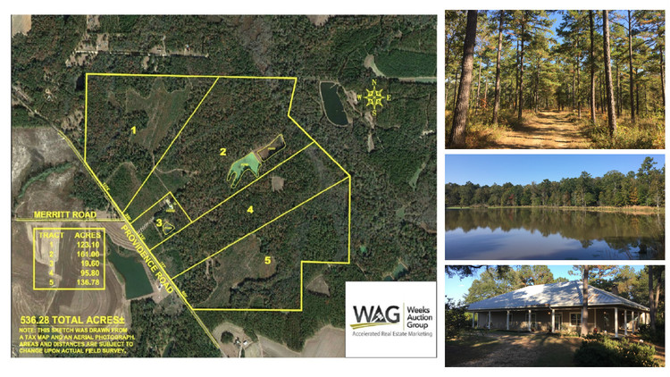 Image for 536+/- Acre Plantation Tract