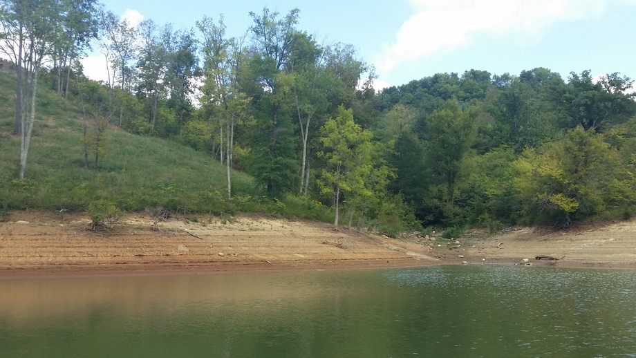 Image for Multi Lot Lakefront Property Auction