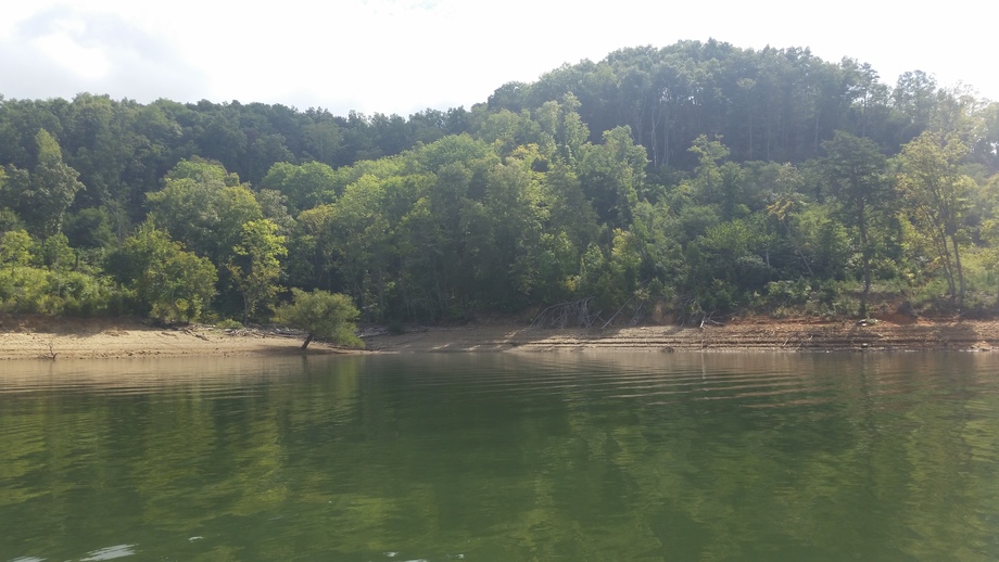 Image for Multi Lot Lakefront Property Auction