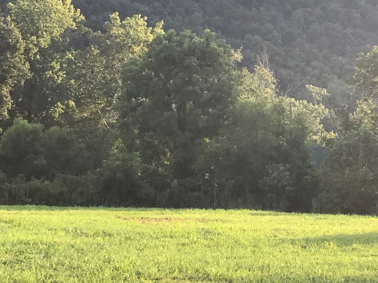 Image for Multi Lot Riverfront Property Auction