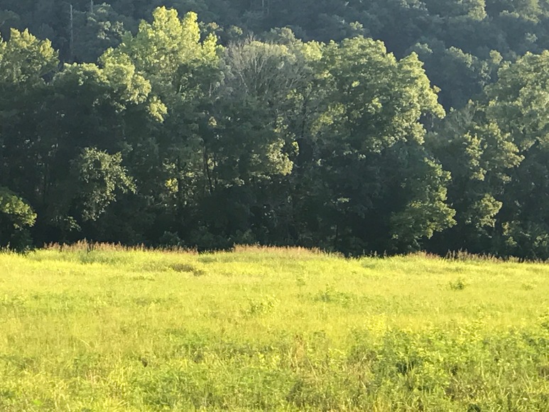 Image for Multi Lot Riverfront Property Auction