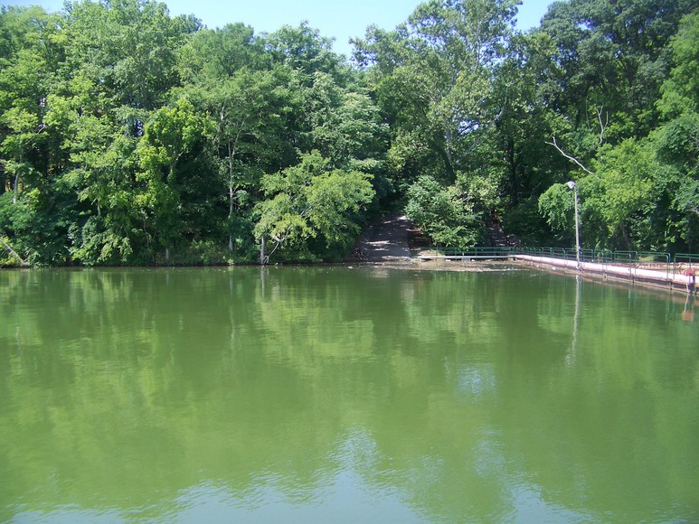 Image for Gated Community Multi Lot Auction