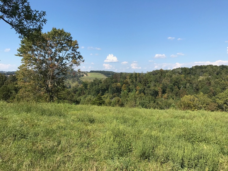 Image for Rock Harbor Subdivision, New Tazewell TN