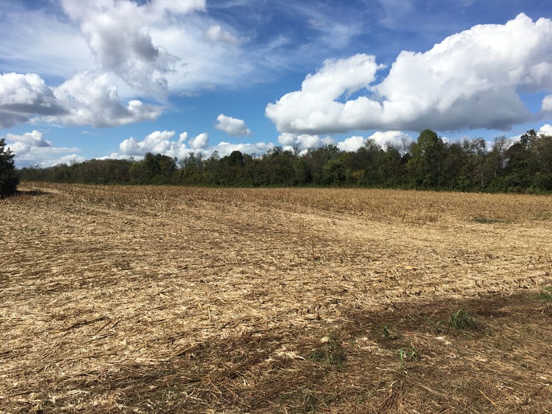 Image for 35.54 +/- Agriculture Tract, Talbott, TN