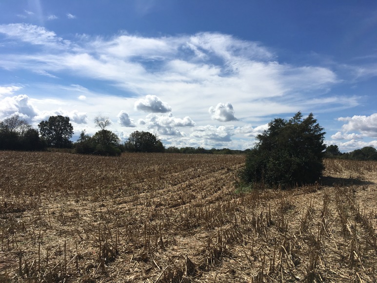 Image for 35.54 +/- Agriculture Tract, Talbott, TN